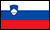 Slovenia flag